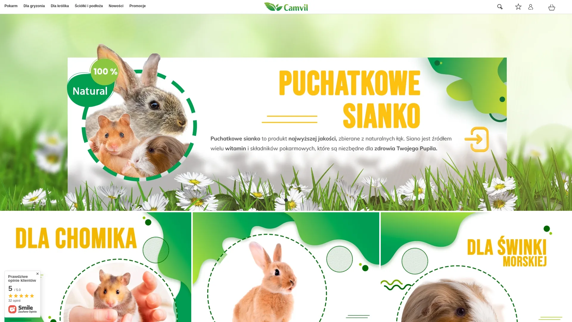 camvil.pl